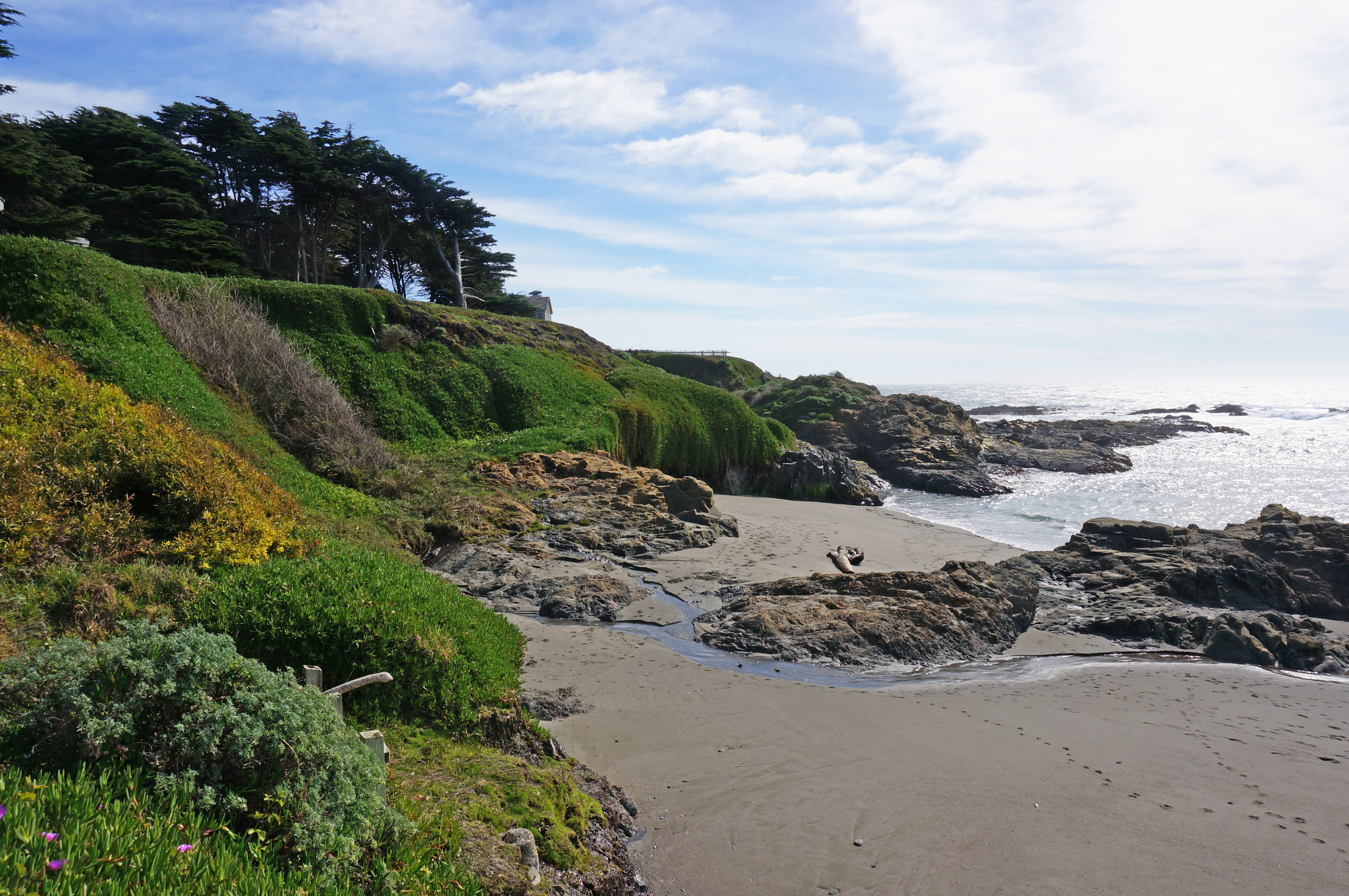 Tide Pool Beach 2