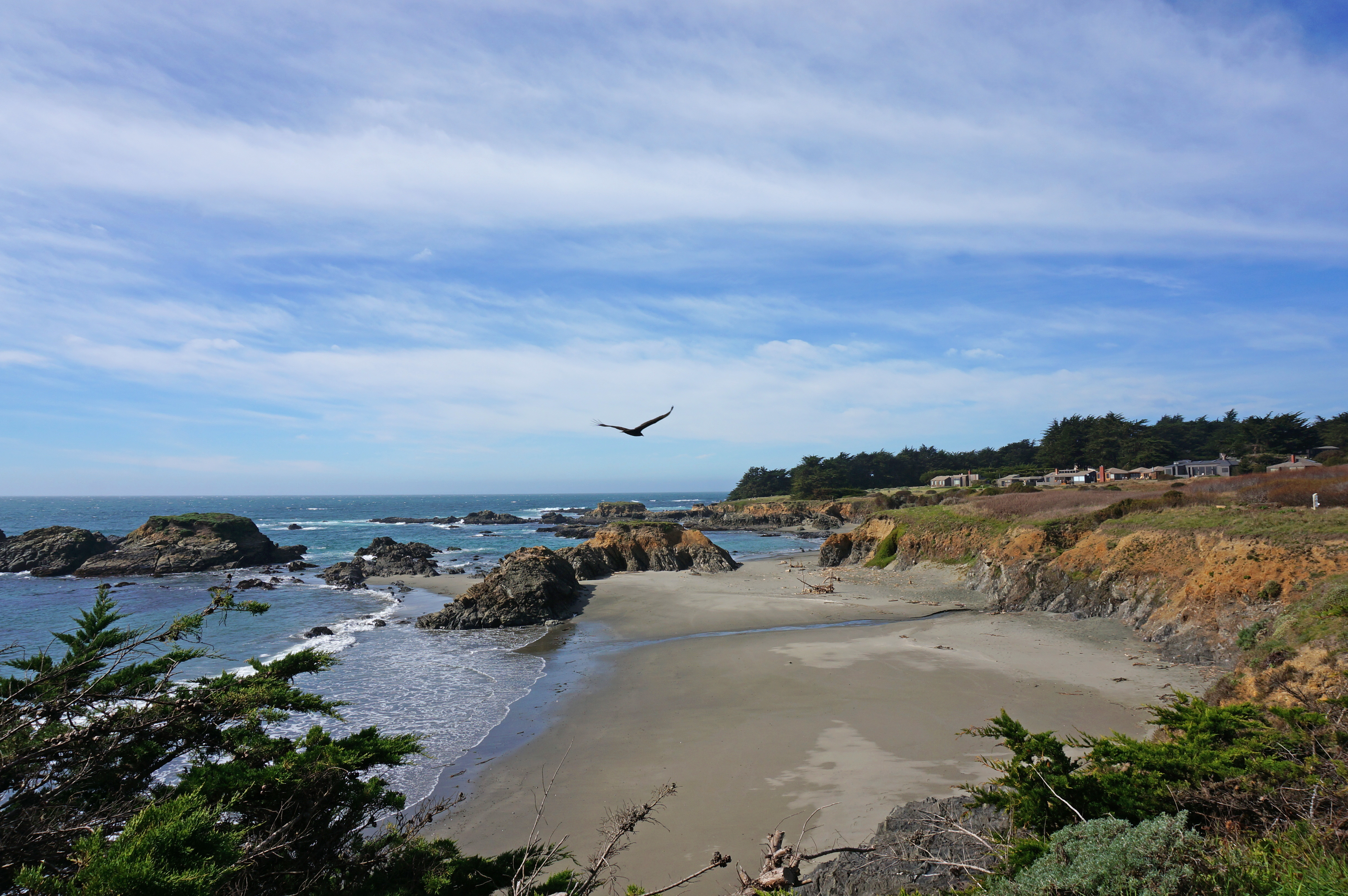 Shell Beach Sea Ranch