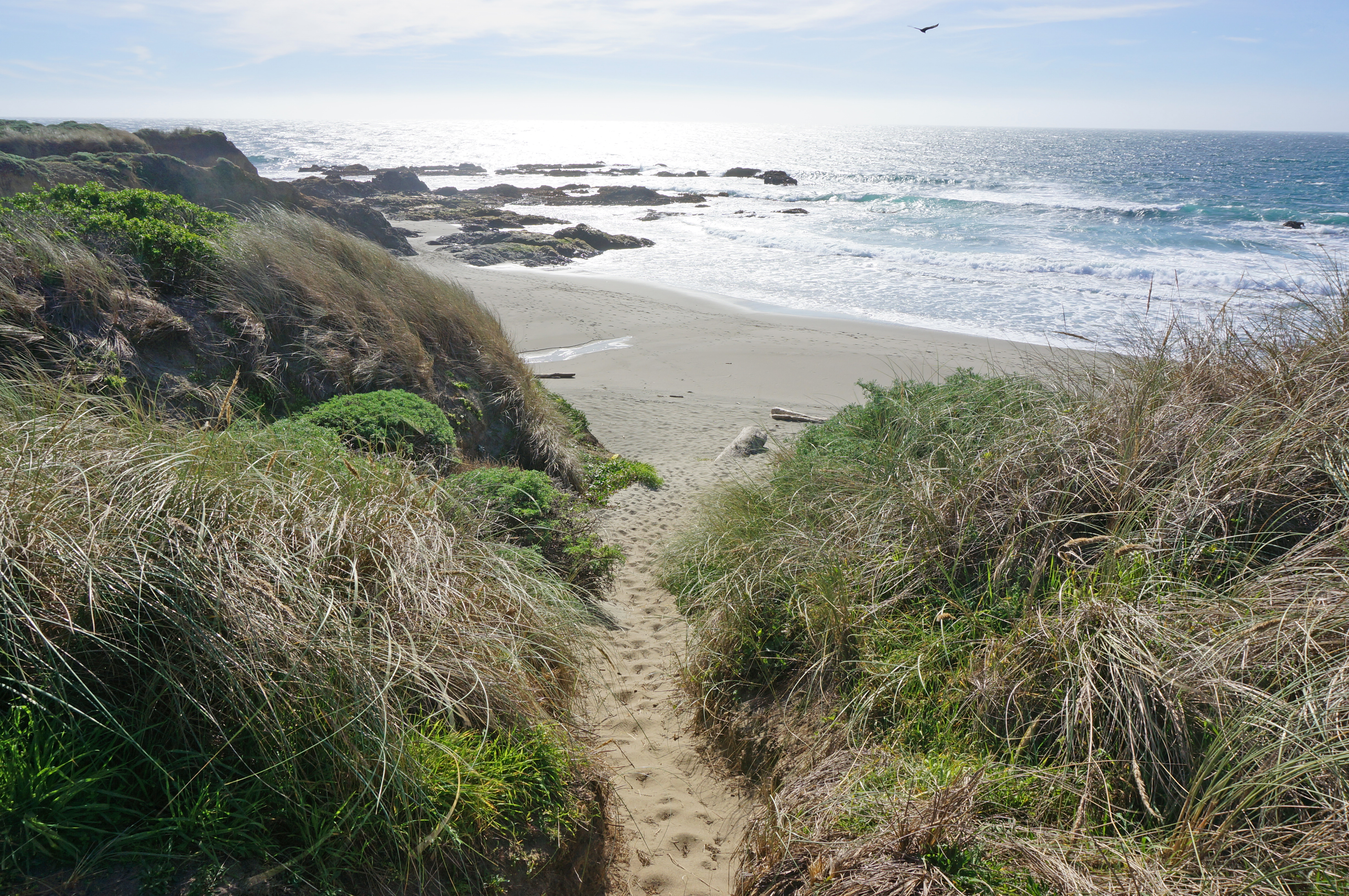 Walk-On-Beach-Sea-Ranch