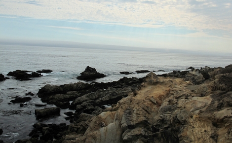 Bluff Top Trail coastal rocks