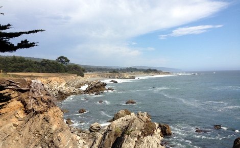 Bluff Top Trail in Sea Ranch